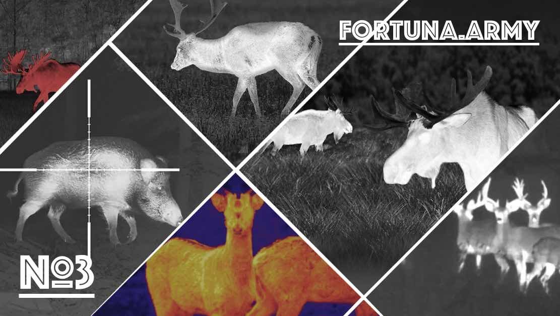 Коллаж с сайта FORTUNA.ARMY