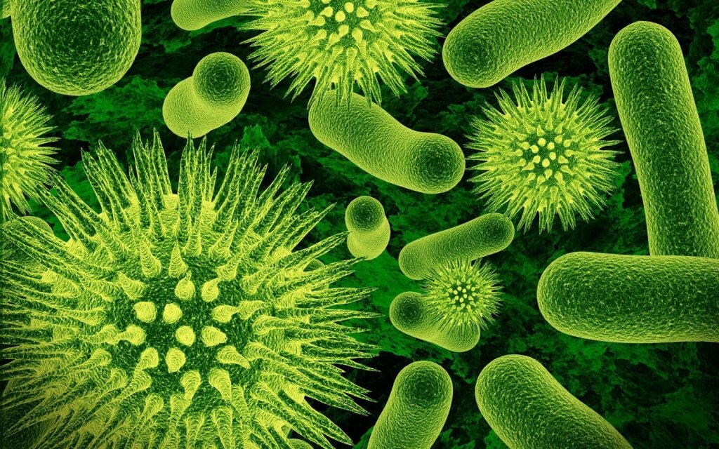 Mycoplasma genitalium – патогенный микроорганизм, способный вызывать уретрит у лиц обоего пола, цервицит и воспалительные заболевания органов малого таза (ВЗОМТ) у женщин.