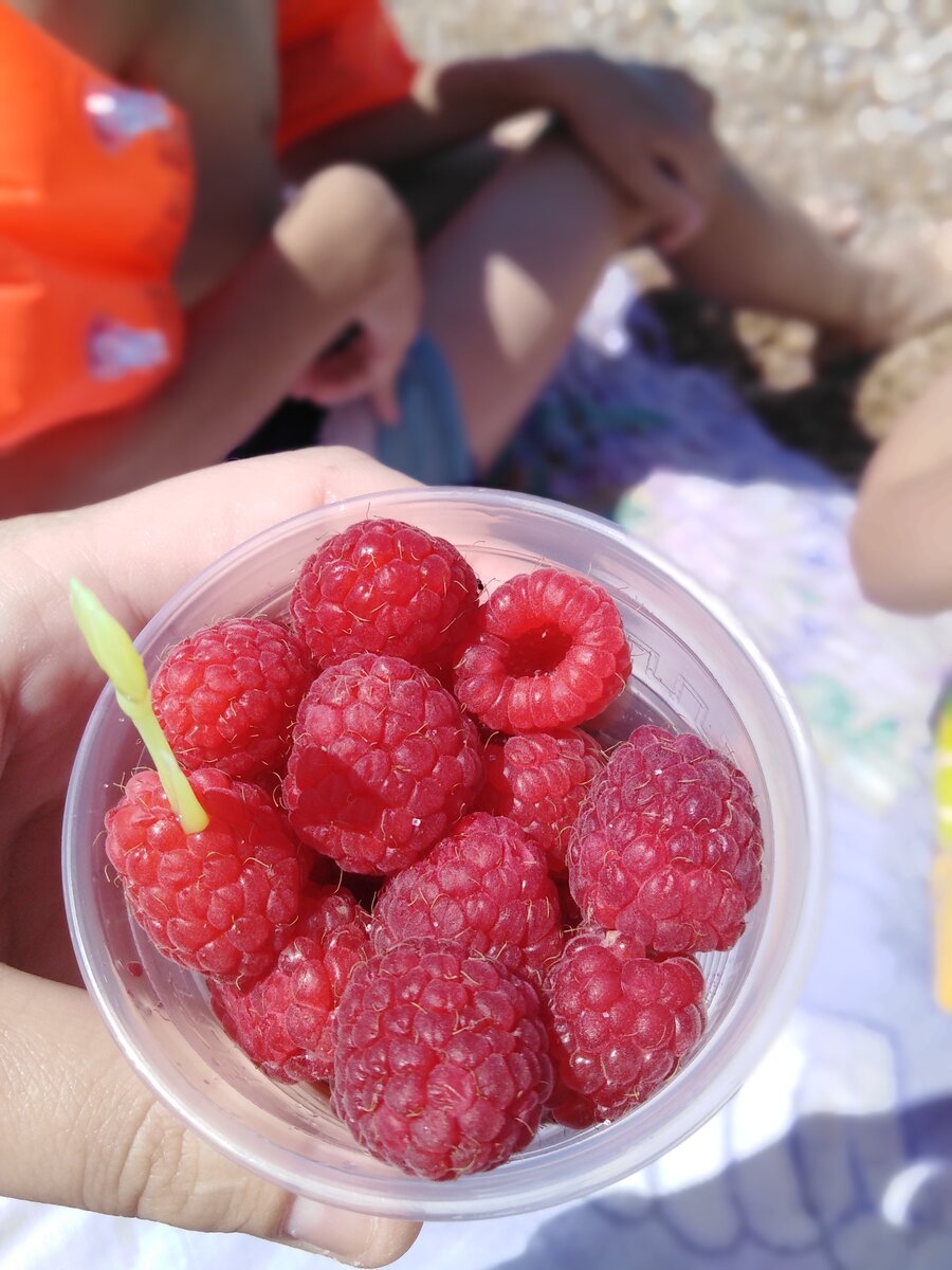 Стаканчик малины стоит 150рублей на пляже, а в магазине можно купить за эти деньги 400гр 