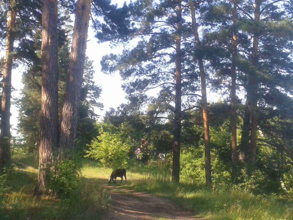 Надо всё понюхать.