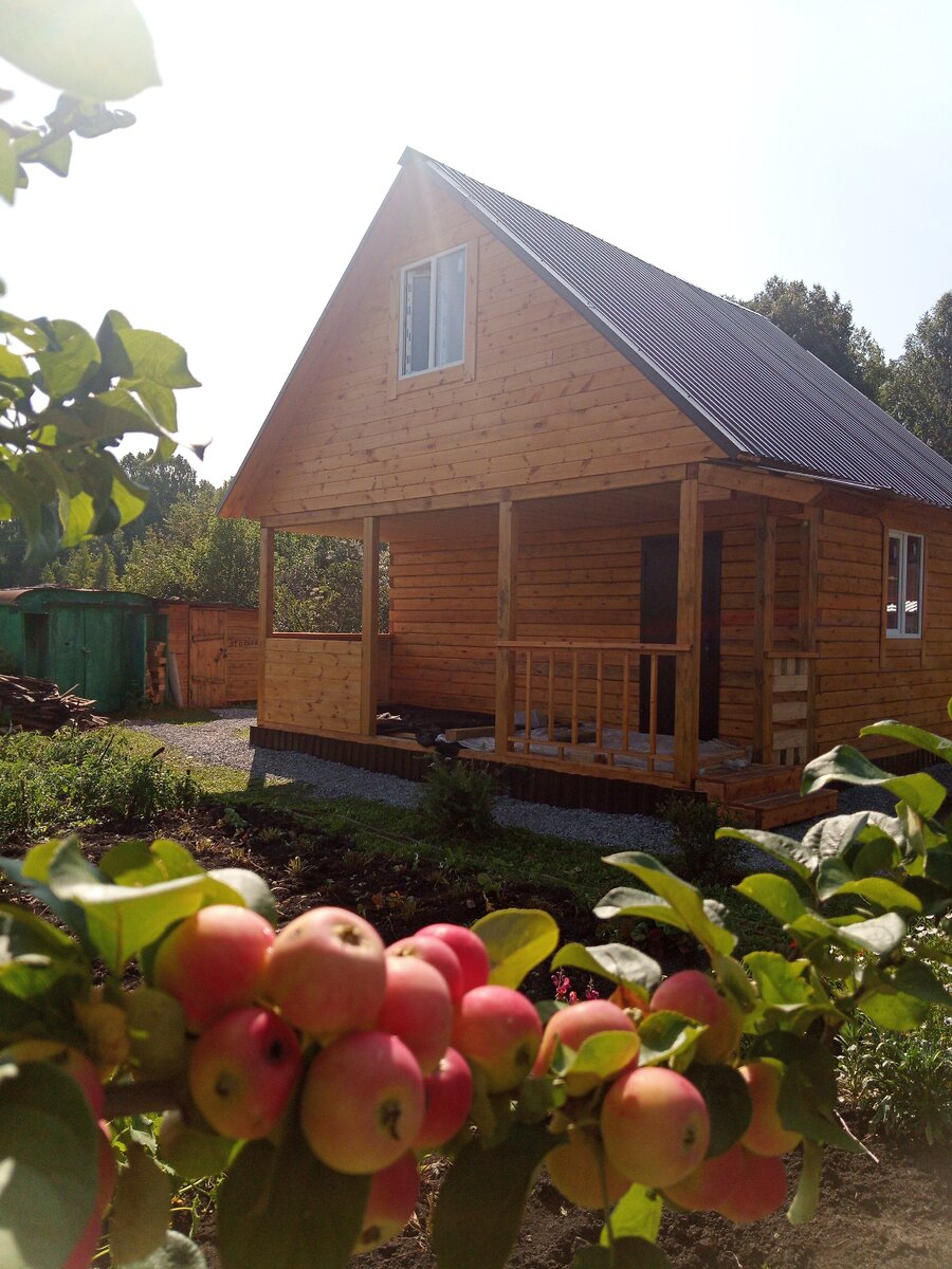 Фото с моего телефона.