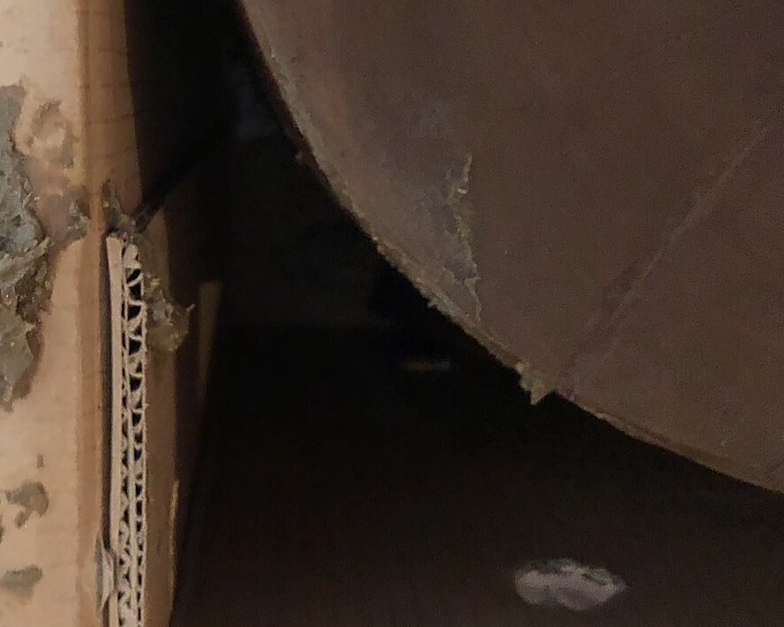 Фото из личного архива пары