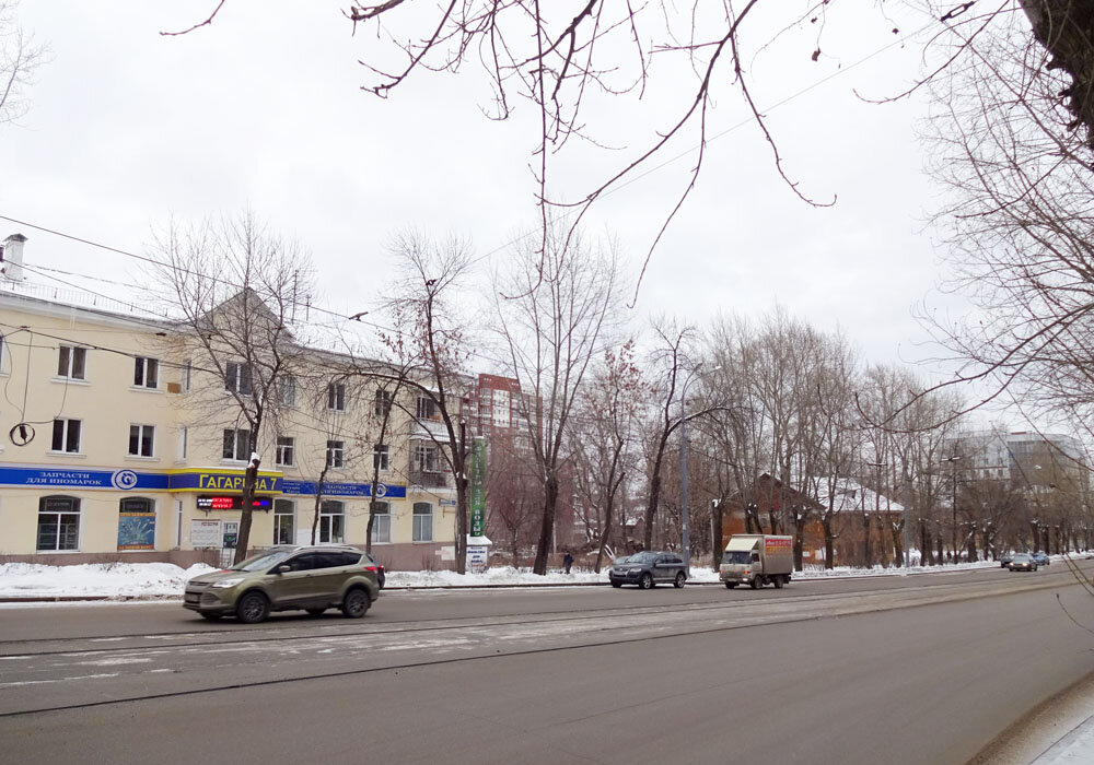 К нам пришла маленькая Годзила. Загородный дом и его обитатели. Ящерица с тонкими пальцами.