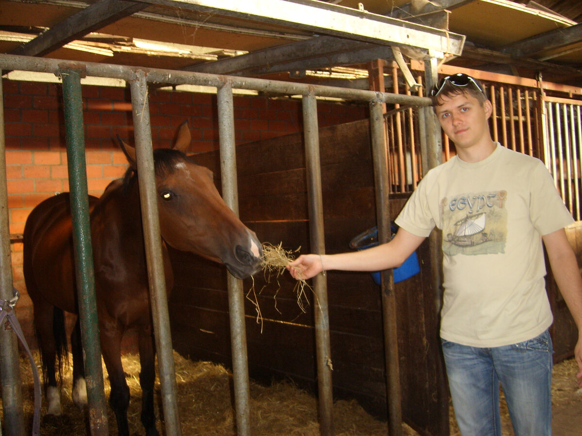 Знакомимся с лошадью. Фото автора