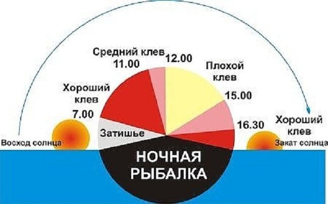Лунный календарь рыболова на 2022 год. Клев рыбы. Таблица активности клёва рыбы. Самый лучший клев. Календарь клева карася.