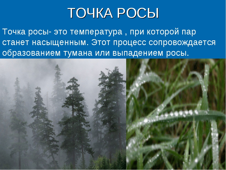 Точка росы. Понятие точка росы. Точка росы это в физике. Точка росы определение физика.