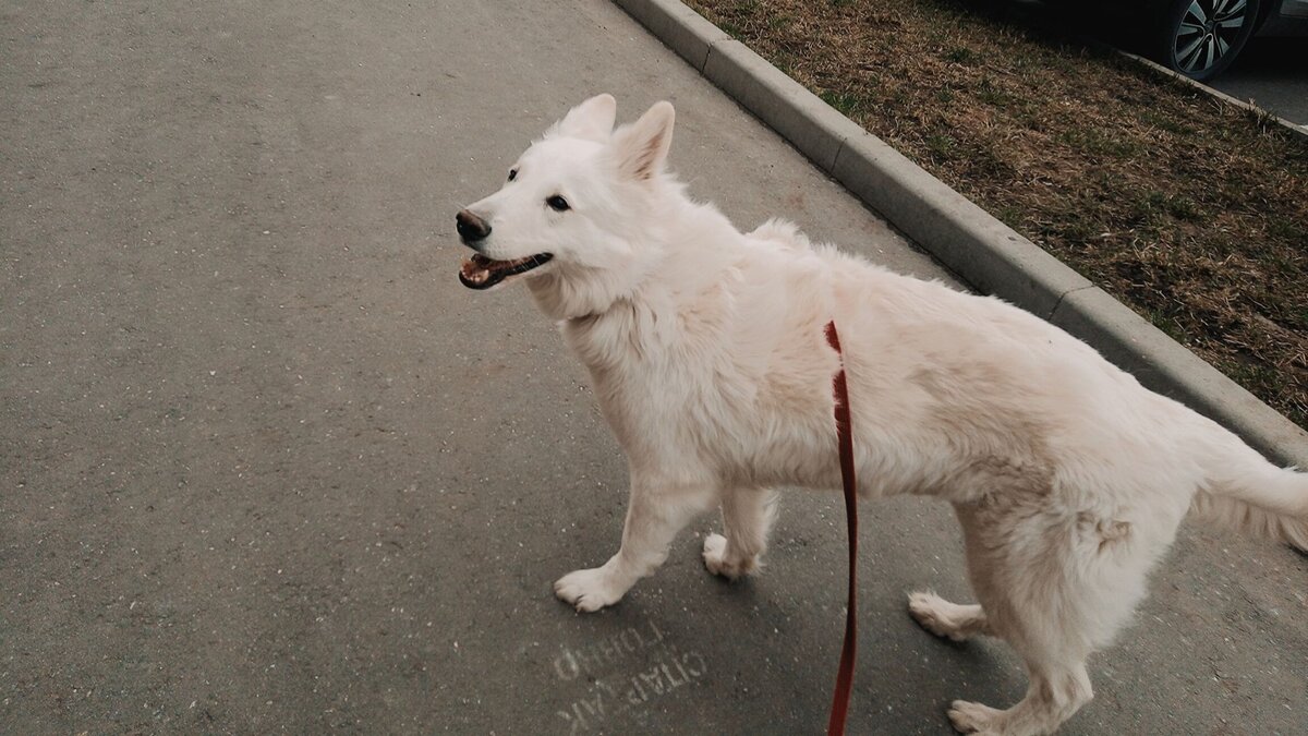 фото: из личного архива