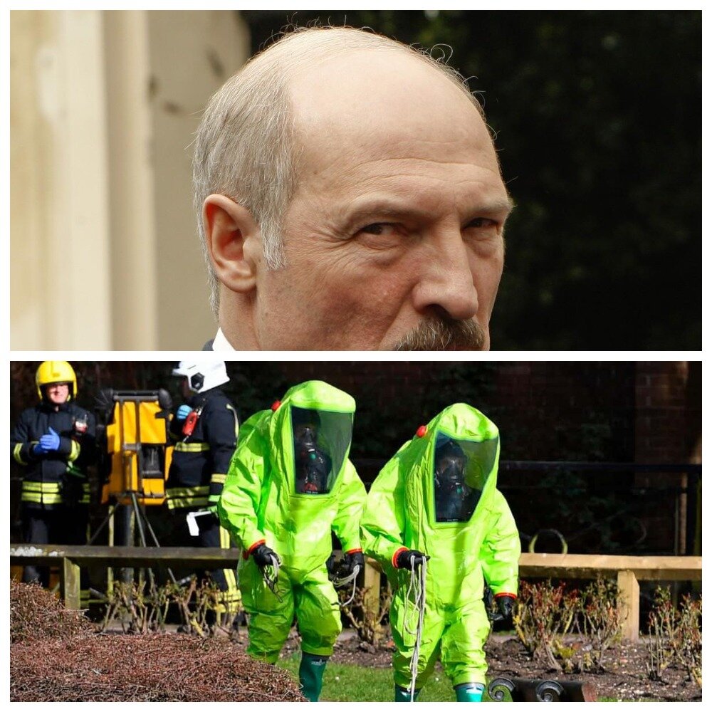 Коллаж автора. Фото из открытых источников