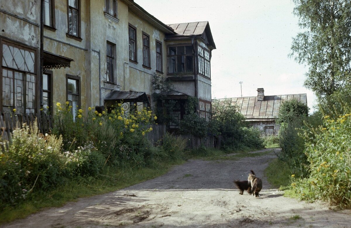 Старые коломяги фото