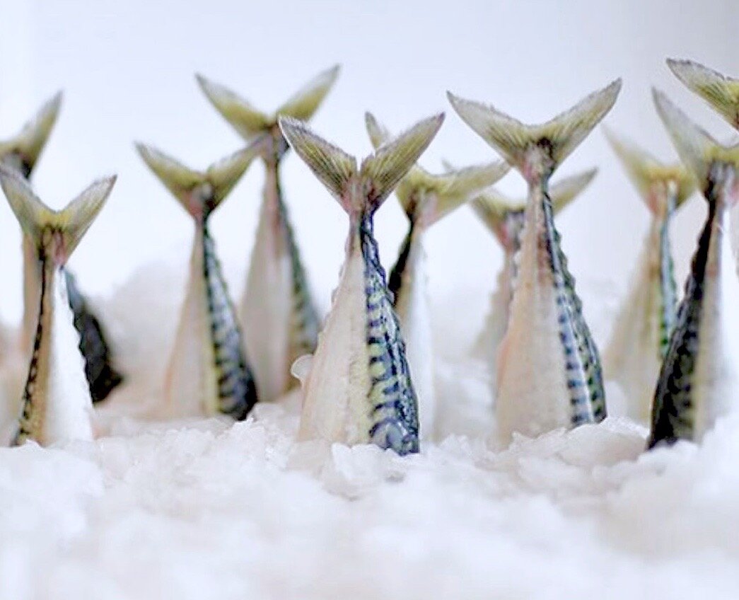 Скумбрия, полезная и очень вкусная.