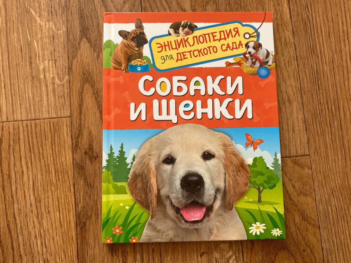 Так выглядит обложка книги. Фото мое