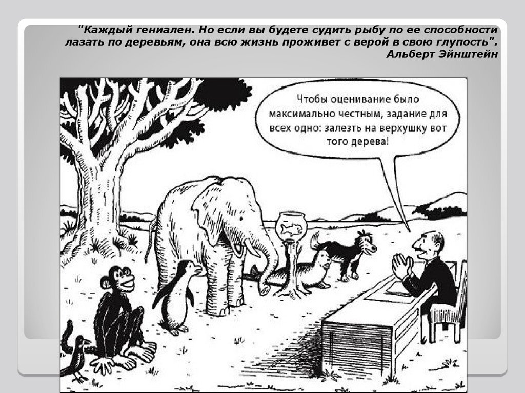 Не заставляйте рыбу лезть по деревьям.