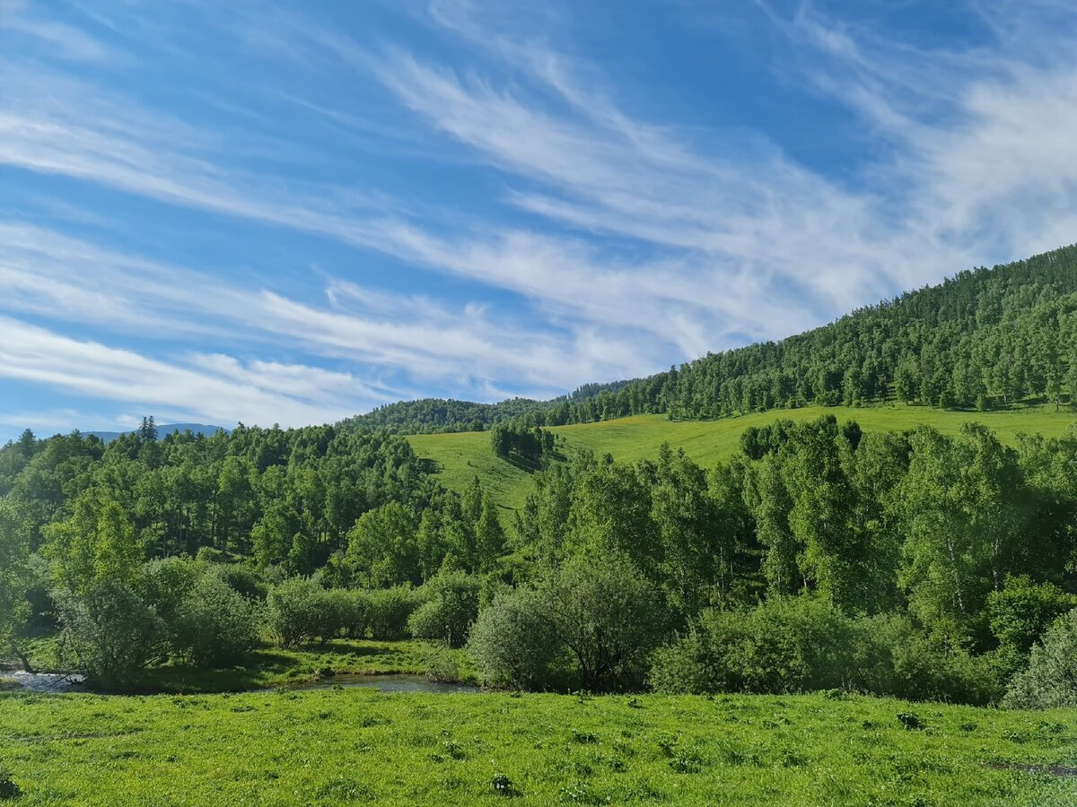 Климат алтая и алтайского края. Климат Алтая. Алтай ветер. Воздух Алтая. Алтай погода.