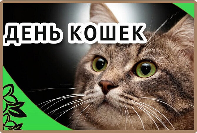 Free Templates for 'рождественских поздравлений от кошек' | PosterMyWall