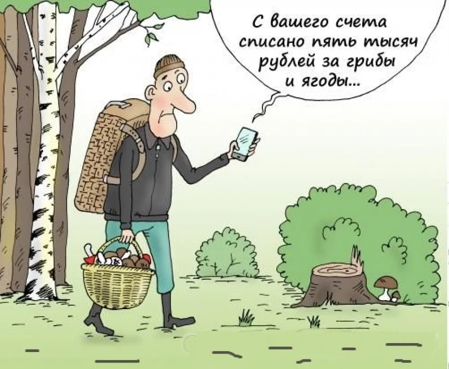 Задача 1. Задача про грибников. Задача про грибы 2 класс. Задача про грибников. Математика 6 класс тесты задача про грибников с ответами.