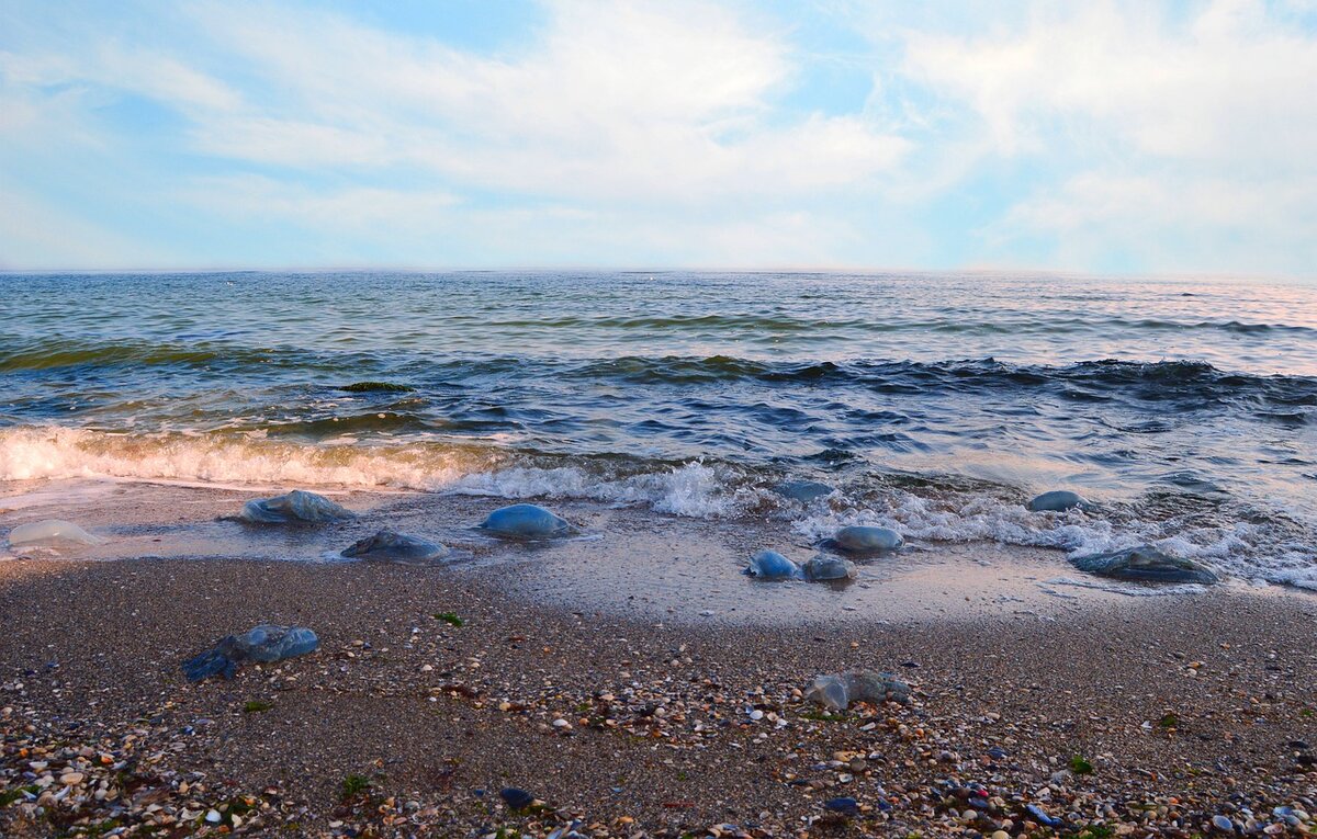 Изображение ksenya kkurhcukova с сайта Pixabay 