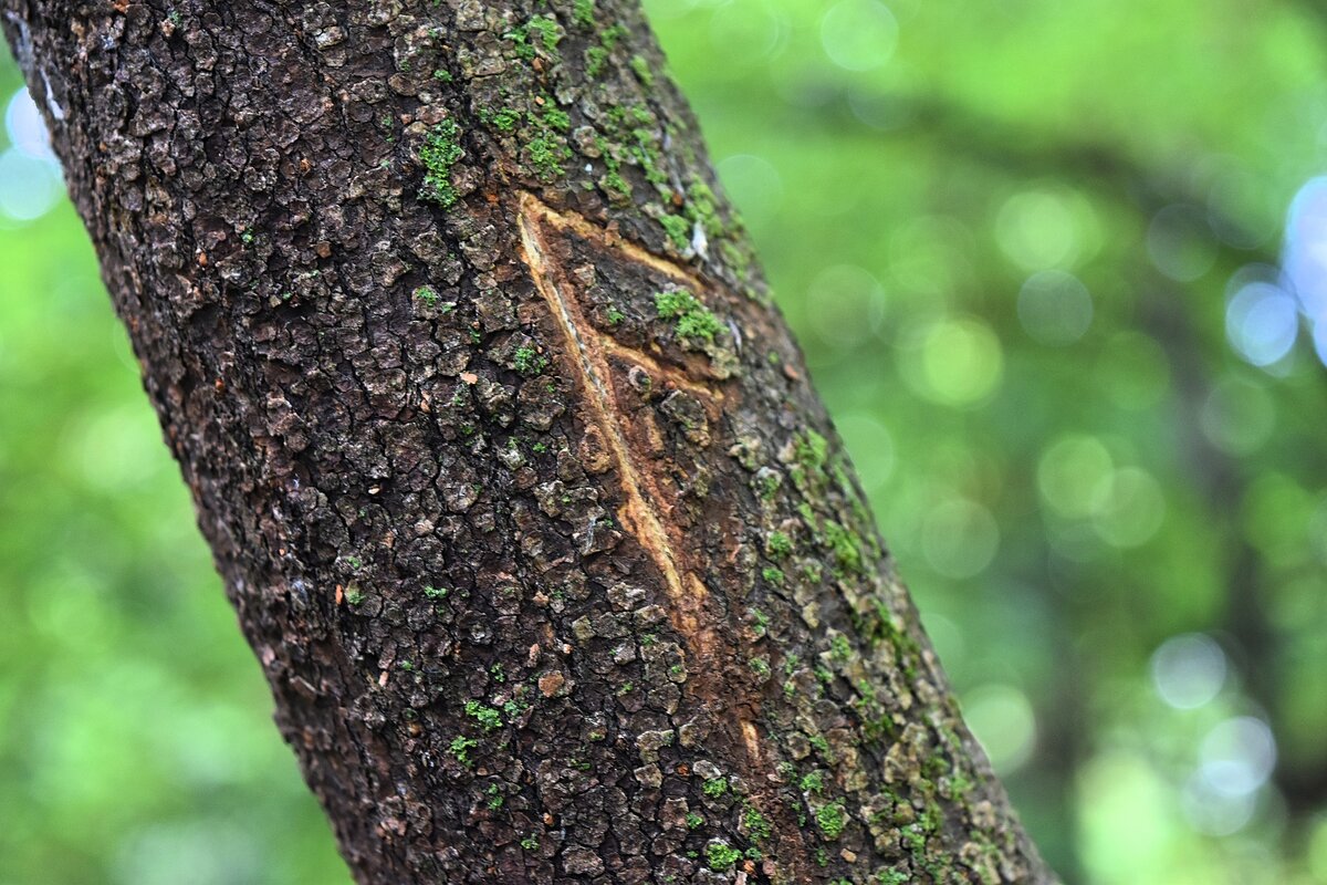 Фото с pixabay.com