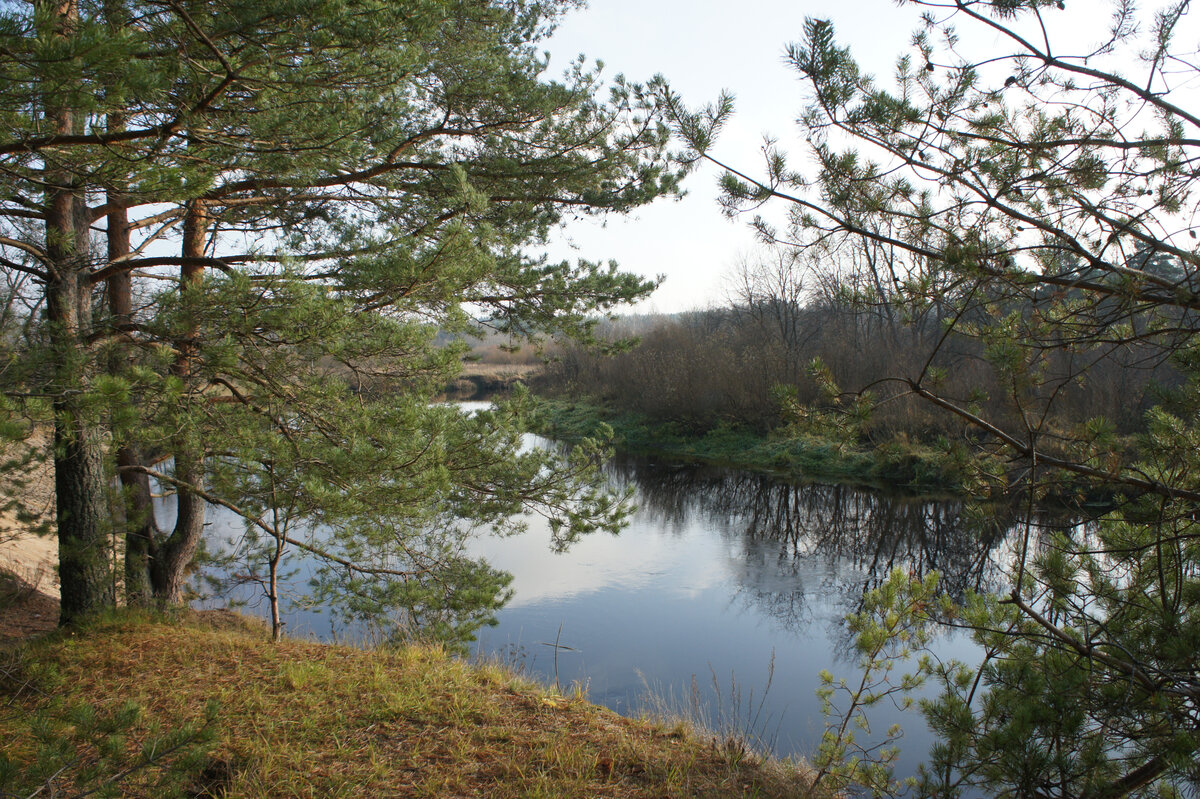 Заказник шалово