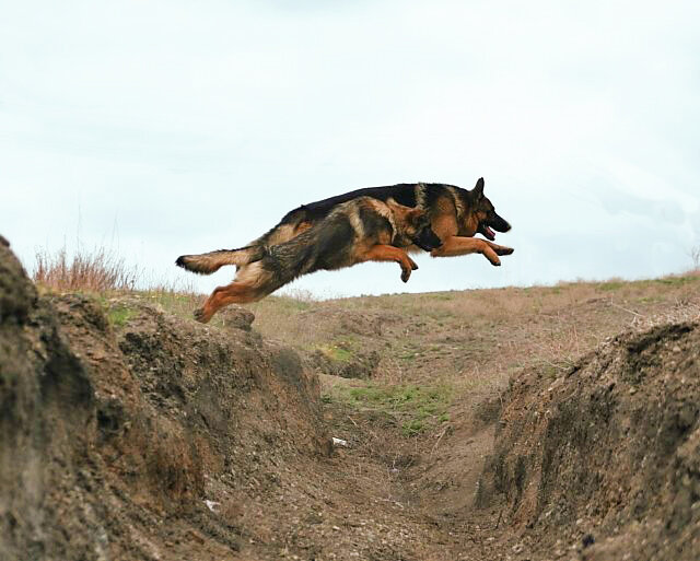 Папа учит дочку прыгать!