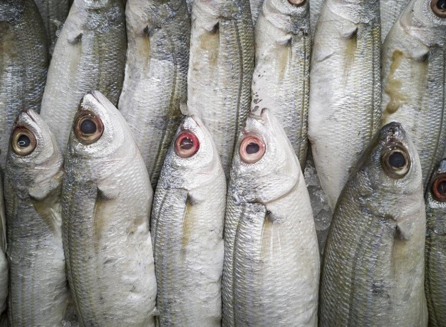 Фото: Pixabay.com