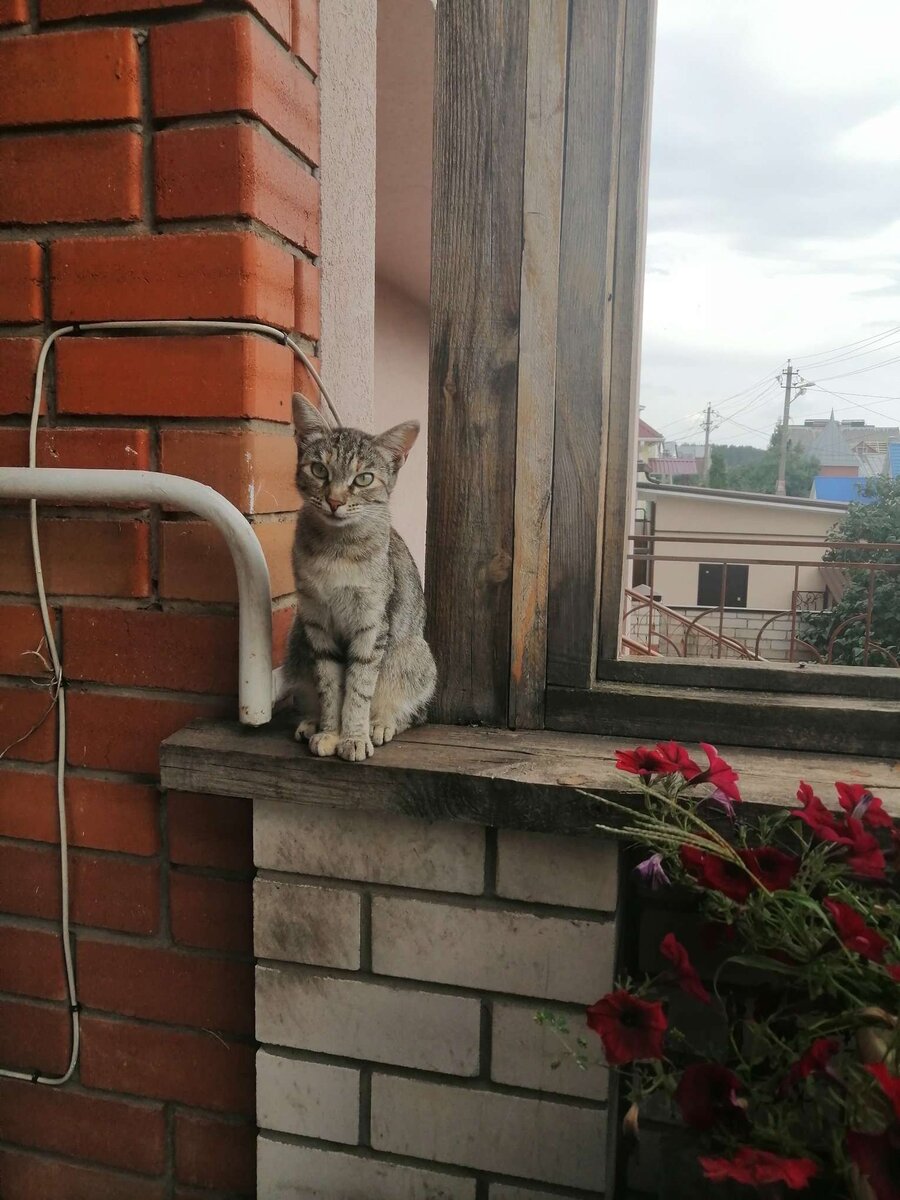 Маруся и цветы.
