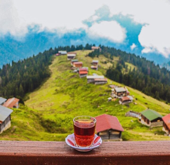 Городок Ризе (Rize) располагается на черноморском берегу Турецкой республики. Это главный населенный пункт одноименной провинции в северо-восточной части страны. Историческое прошлое Ризе также богато и уникально, как и история большинства турецких городов, находящихся возле Черного моря.

Ризе — это часть чайной истории Турции. Это не только город на побережье, зеленые холмы, бурные горные реки и красивые водопады, но и чайные плантации.

Именно в Ризе можно попробовать различные виды турецкого ароматного чая местного производства.