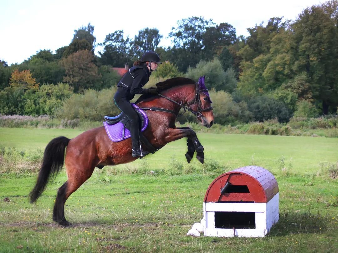 Падения в кроссе наиболее опасны, так как упасть можно вместе с лошадью. И в этом случае вытащенные вовремя ноги из стремян могут коренным образом повлиять на последствия для здоровья всадника.