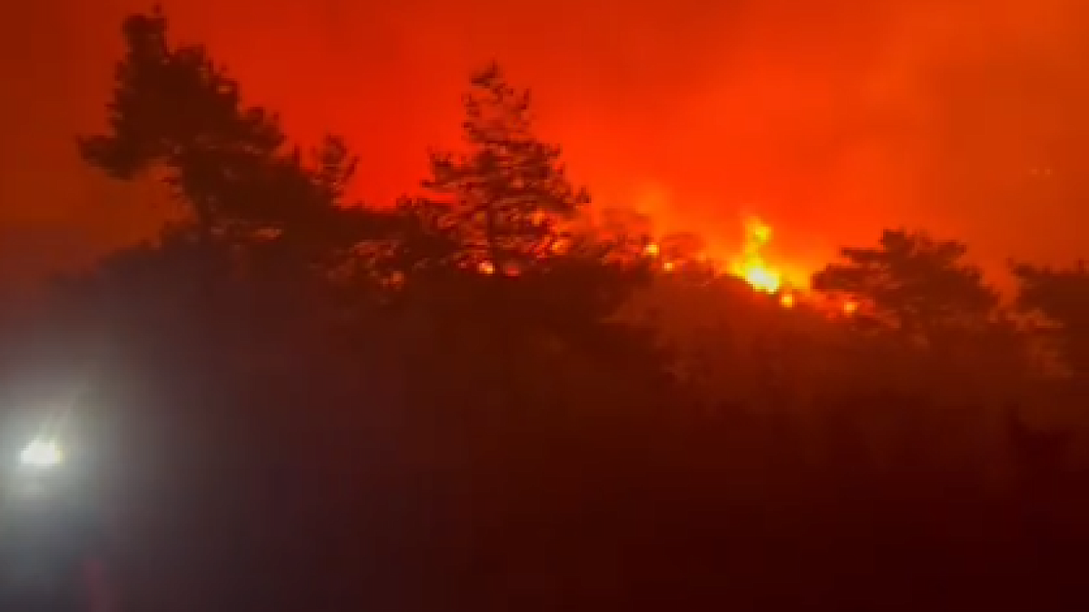    Работник Сафари-парка в Геленджике рассказал, как отгоняли огонь и как реагировали животные Фото очевидцев пожара