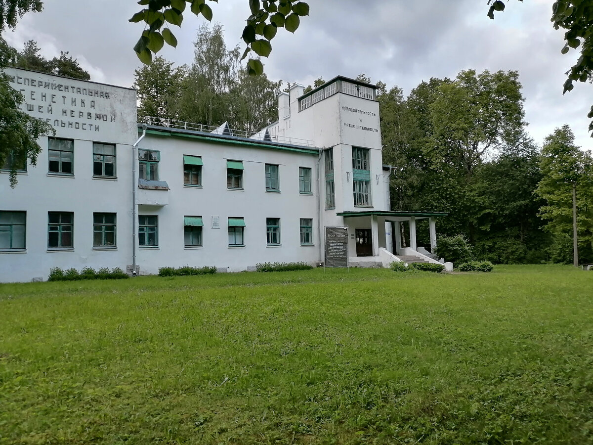 Сожгли все исторические постройки в городке под Петербургом | Приключения  Петербуржцев в России | Дзен