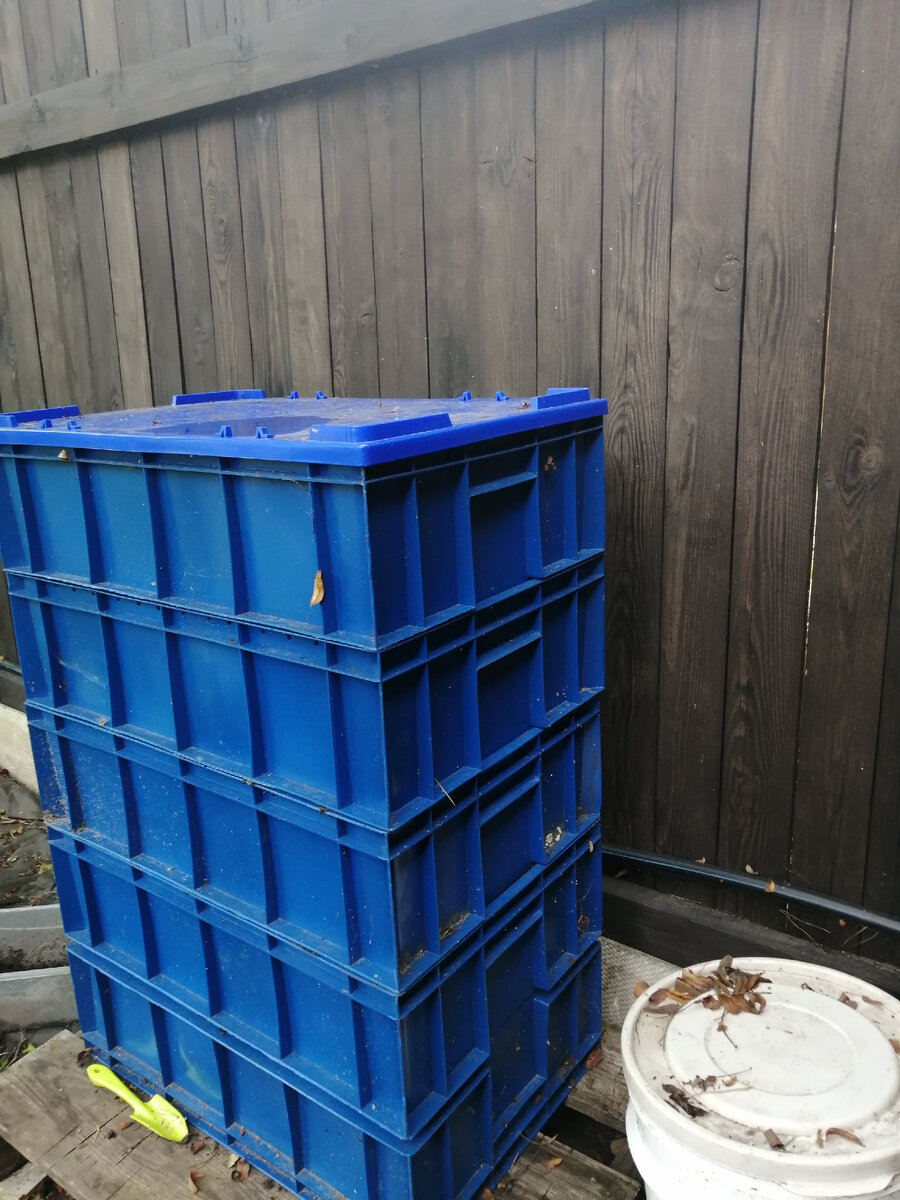 Сейчас червяки находятся во втором от верха ящике. Пытаюсь их переманить в самый верхний.