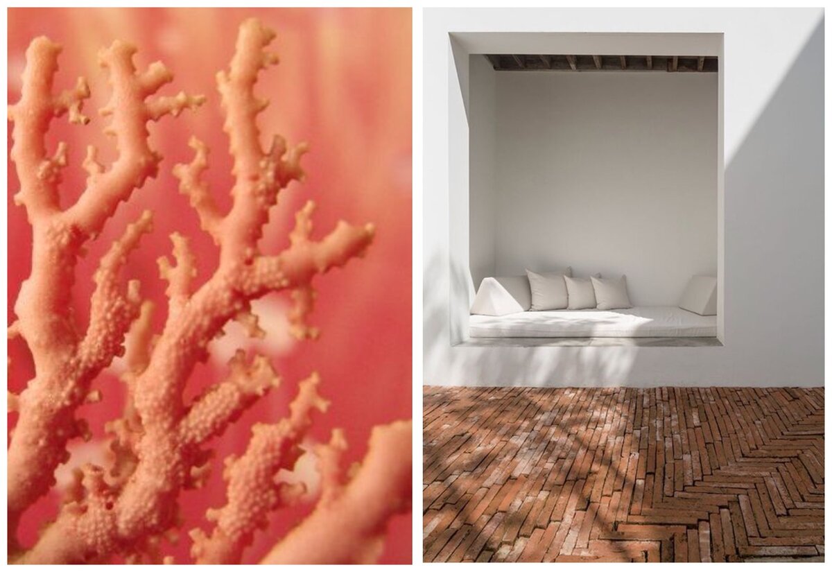 1. Все иллюстрации взяты в открытых источниках в сети. Коллажи авторские.