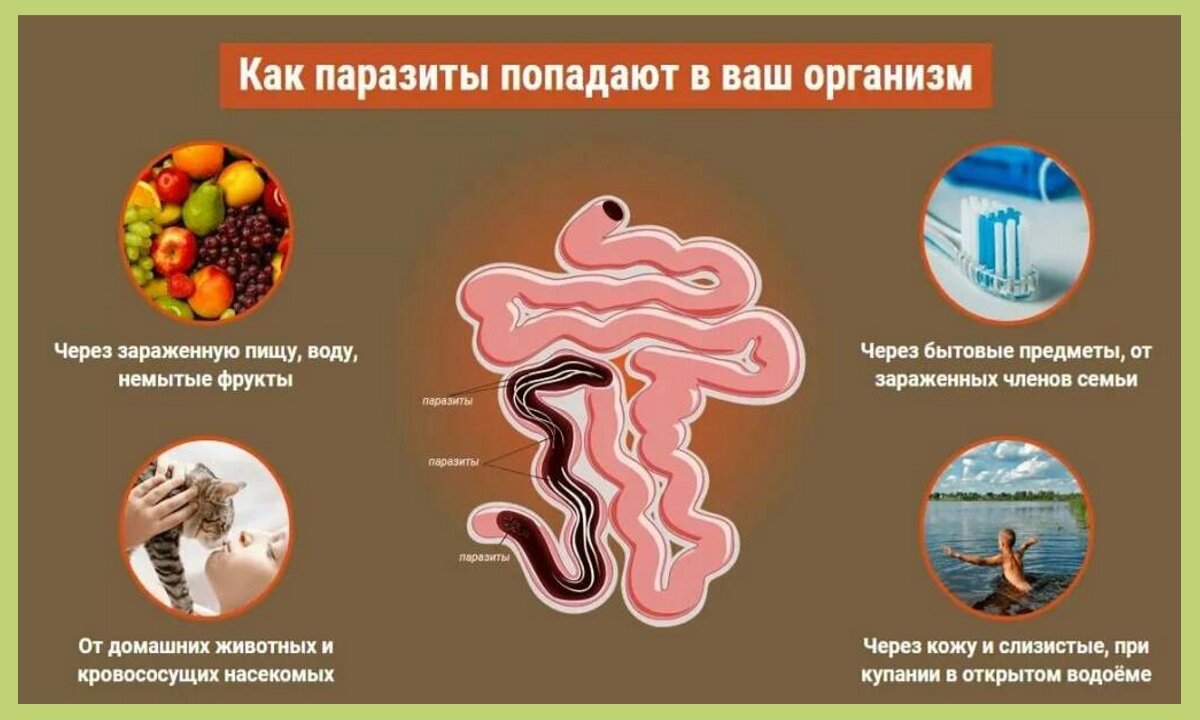 Наличие паразитов какой фактор. Как паразиты попадают в организм человека. Как глисты попадают в организм. Способы заражения гельминтами. Способы попадания паразита в организм.