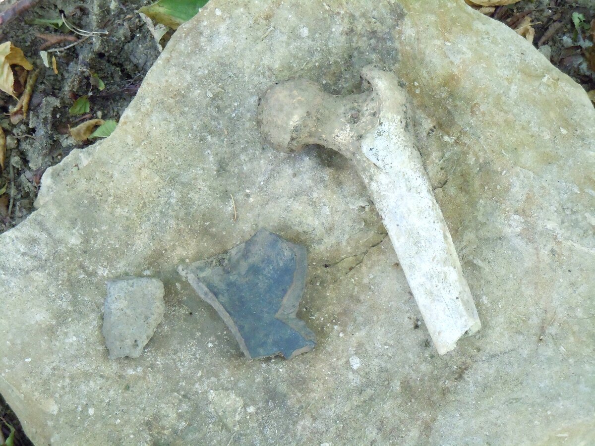 Человеческая кость и керамика