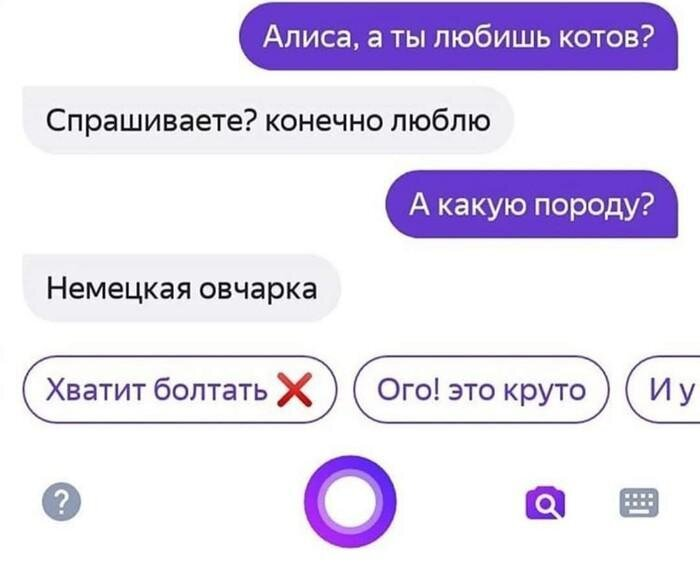 Включи диалоги. Алиса голосовой помощник переписка. Смешные переписки с Алисой голосовым помощником. Смешные переписки с Алисой. Смешные диалоги с Алисой