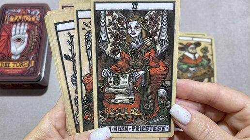 Таро Дель Торо / Tarot Del Toro с Али с красным срезом. Мне нравится