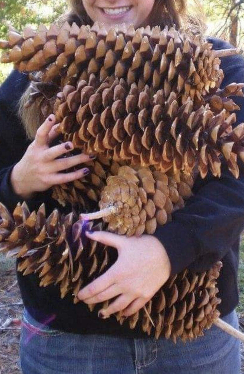 Фото из интернета 