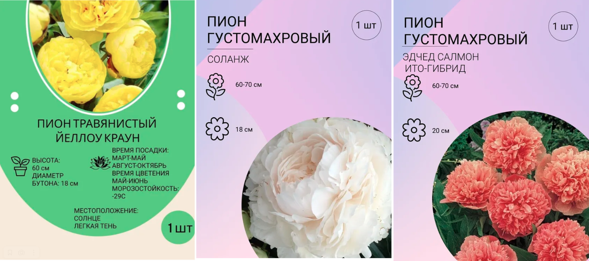 Первая тройка