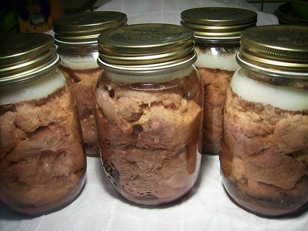 Фото в свободном доступе