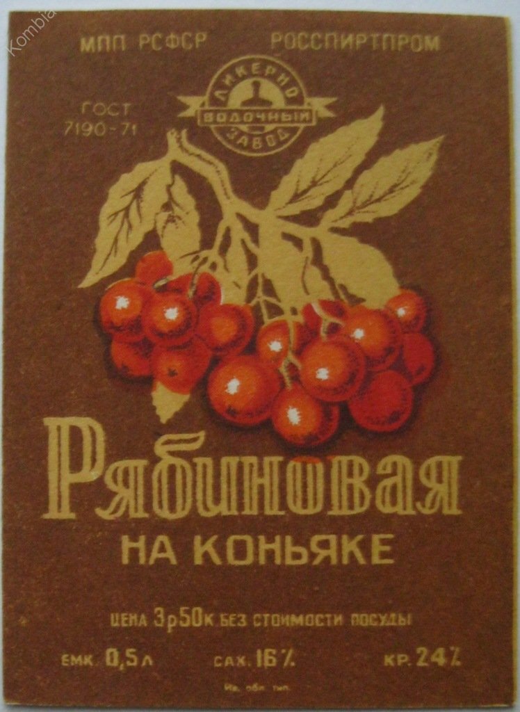 Рябиновая настойка своими руками: рецепт домашнего алкоголя на водке или самогоне | Ромовый дневник