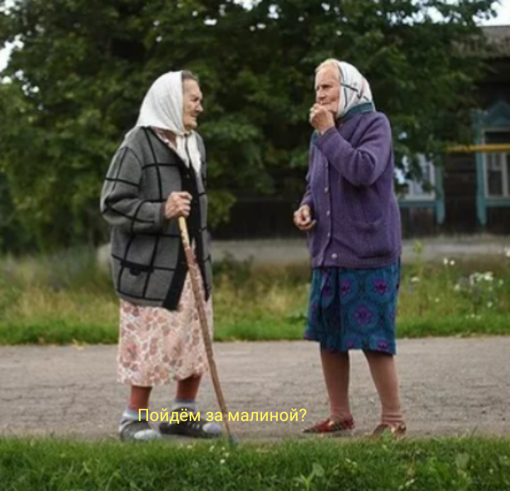            Деревень раньше было много и маленькие, и большие, разбросаны                                среди  леса. Однажды собрались две бабульки в лес за малиной. Они                               соседками  были дружными, все вместе делали. Возраст уже не маленький,                                   а ягод  хочется и запасы на зиму сделать. Шли они недолго, добрались и.                                      занялись любимым делом. Одна была глуховата, и поэтому тихая,                            молчаливая. Другая слеповата, но болтушка на чем свет стоит.                                                 За болтовней и потеряла подругу жизни. Ходила, искала, кричала, звала                                           и увидела сидит, собирает и не откликается. Подошла к ней, да как хлопнет                             по плечу:,, Ты что, карга старая , совсем не слышишь?" 