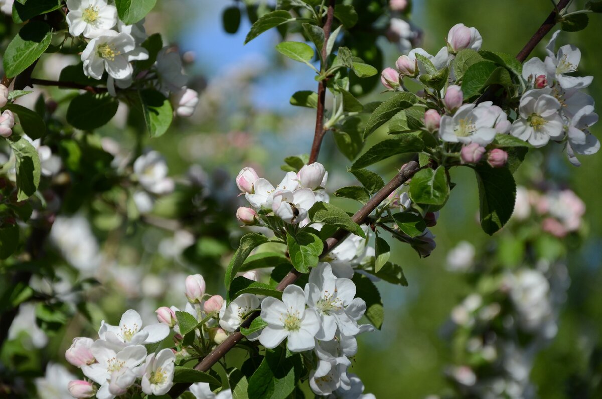 Фото из личного архива автора