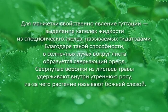 Удивительные факты. Фото из открытых источников интернета 