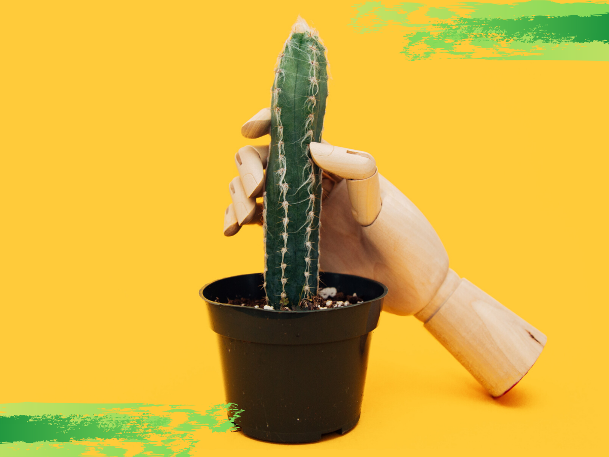 Photo by Charles Deluvio on Unsplash