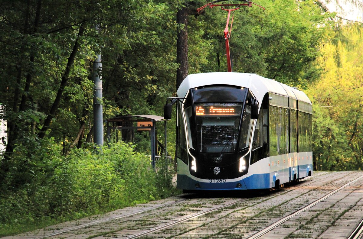 Витязь в Сокольниках. Москва. Фото Елена Деникаева