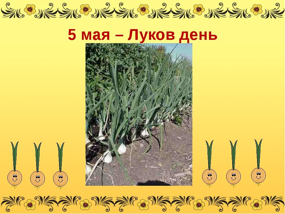 Г д луков. День Луки 5 мая. 5 Мая народный календарь. Народный календарь день Луки. День Луки 5 мая народный календарь.