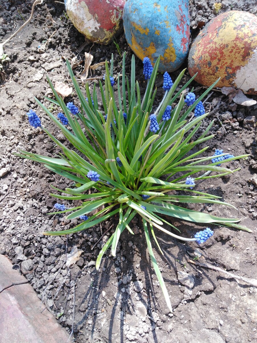Фото из личного архива 