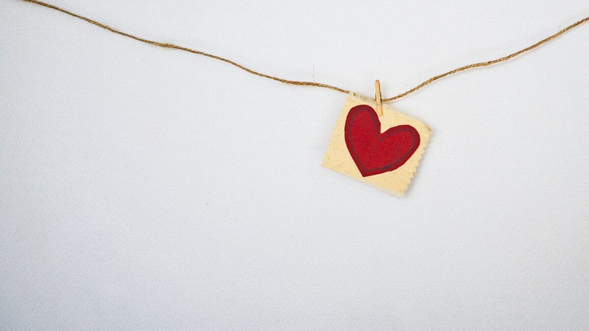 https://images.unsplash.com/photo-1517607648415-b431854daa86?ixlib=rb-1.2.1&auto=format&fit=crop&w=1492&q=80