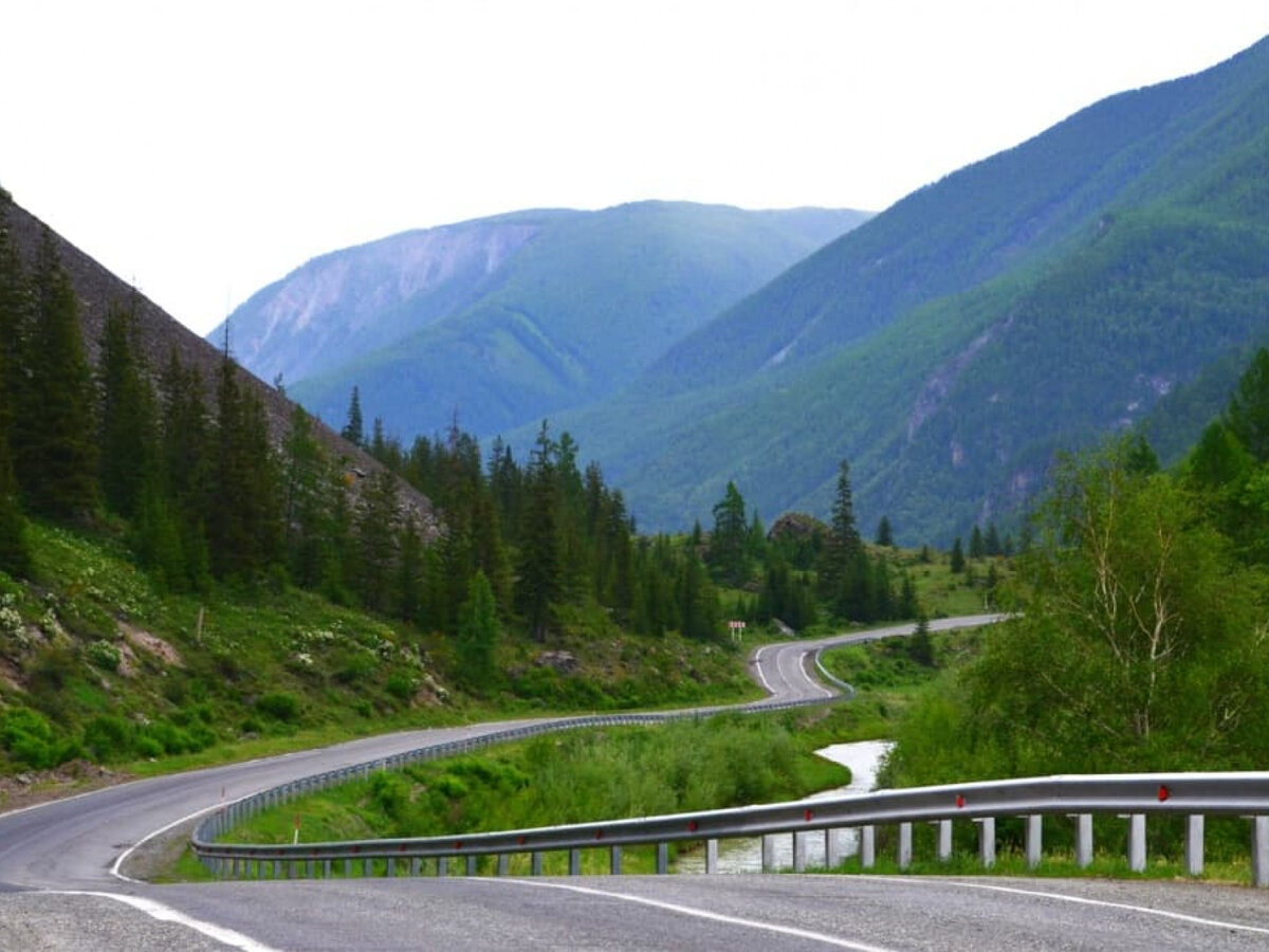 Горный Алтай: самая красивая дорога России – часть вторая | Истории  довольного сибиряка | Дзен