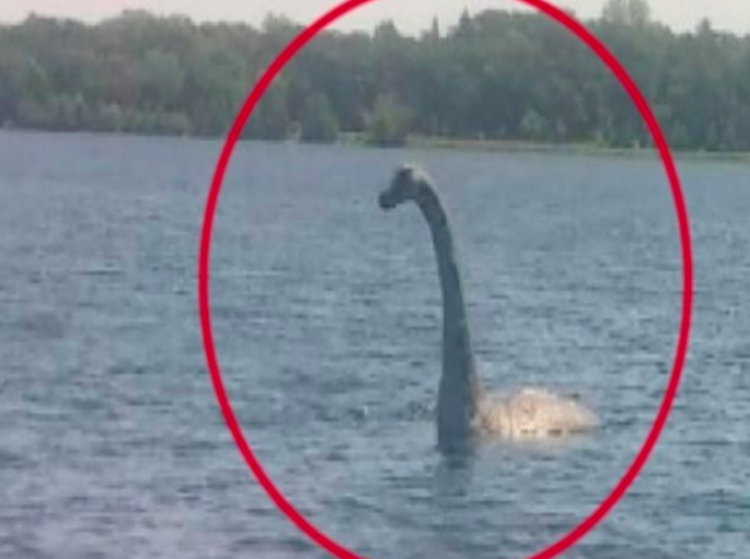 Фото лохнесского чудовища живого нападает