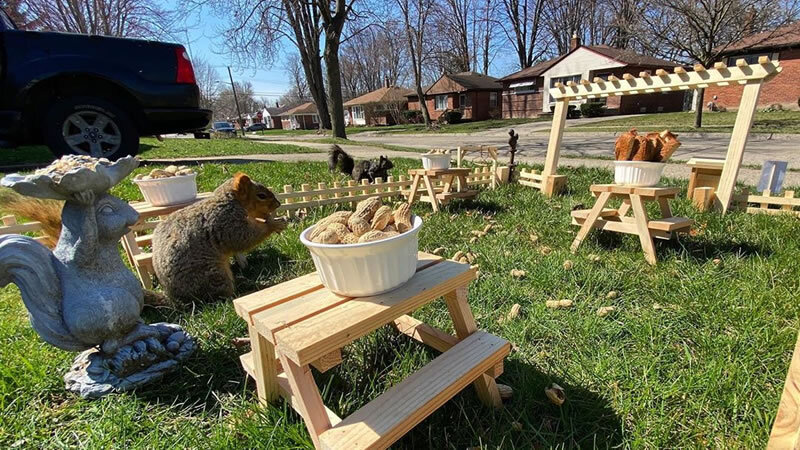 Ресторан для животных "Дом Орехов". Взято с новостного сайта о животных